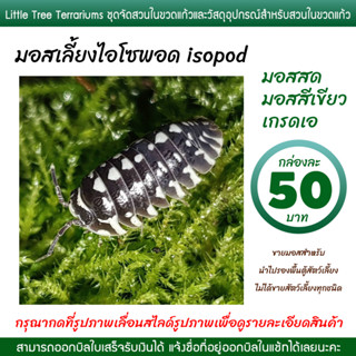 มอสเลี้ยงไอโซพอด isopod มอสสด กล่องละ 50 บาท เขียวสวย สะอาด เกรดพรีเมี่ยม