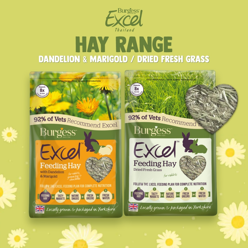 Burgess Excel Feeding Hay Range 1 KG