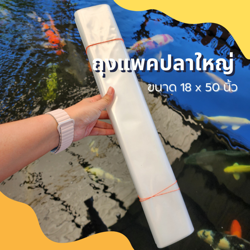 ถุงแพคปลาใหญ่ ขนาด 18*50 นิ้ว หนาอย่างดี เกรด AAA แพคปลาขนาด 55+ cm หรือ 24 นิ้วขึ้นไป
