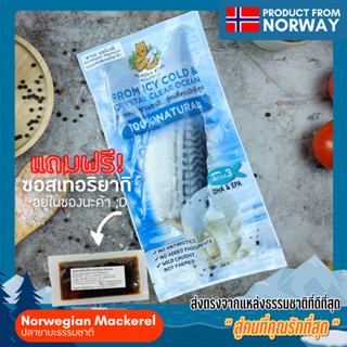 (มีโค้ดลดหน้าร้าน) [Alaska King] ปลาซาบะนอร์เวย์ธรรมชาติ 120 กรัม แช่แข็ง Frozen Wild Caught  Norwegian Mackerel 120 g.