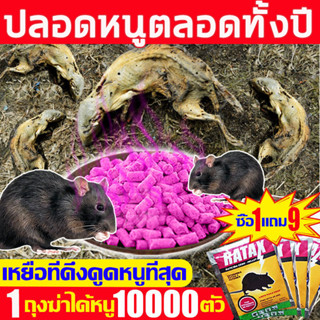 🐀ปลอดหนูตลอดทั้งปี🐀 ยาเบื่อหนูตายแห้ง ซื้อ1แถม9 กําจัดหนู เหยื่อกําจัดหนู กลิ่นดึงดูดหนู หนูชอบกินที่สุด ยาเบื่อหนู