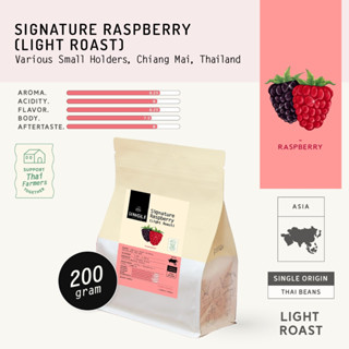 Signature Light Roast for Filter - Raspberry (Specialty Coffee)