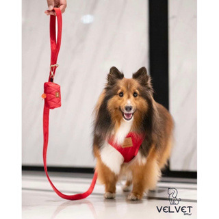 Velvet paw Bewell harness สายรัดอกสุดพรี่เมี่ยม!! ทำจากผ้ากำมะหยี่อย่างดี สัมผัสนิ่มนิ่มไม่รั้งตัวเด็กๆ