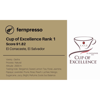 Cup of Excellence Rank 1 El Conacaste, El Salvador 100g