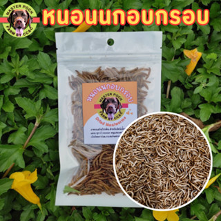 หนอนนกอบแห้ง หนอนอบกรอบ Dried Mealworms (หนอนคัด+ไม่คัดตัวหนอน) 20-50 กรัม (Pet)ชูการ์,หนูแฮมเตอร์,เม่นแคระ,นก,ปลา