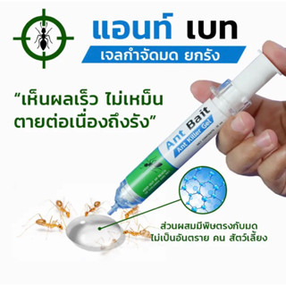 Ant bait แอนท์เบท เจลกำจัดมด ตายยกรัง ไร้สี ไร้กลิ่น ไม่เป็นอันตราย