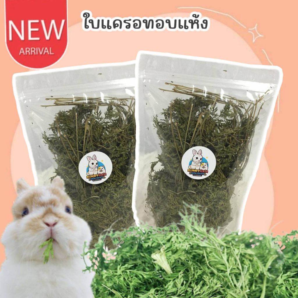 CatHoliday ใบแครอทอบแห้ง ใบแดนดิไลออนอบแห้ง ใบชิคโคริอบแห้ง สำหรับกระต่ายและสัตว์ฟันแทะ ขนาด 30-100 กรัม