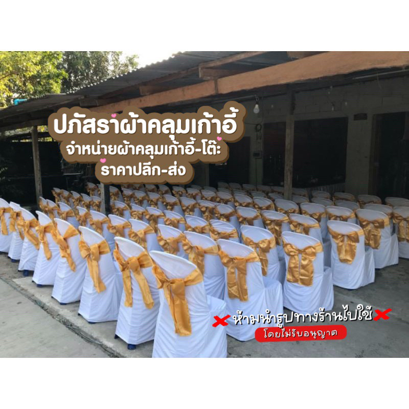 ผ้าคลุมเก้าอี้พลาสติกสีขาวพร้อมโบว์สีทองแพ็ค 10 ผืน