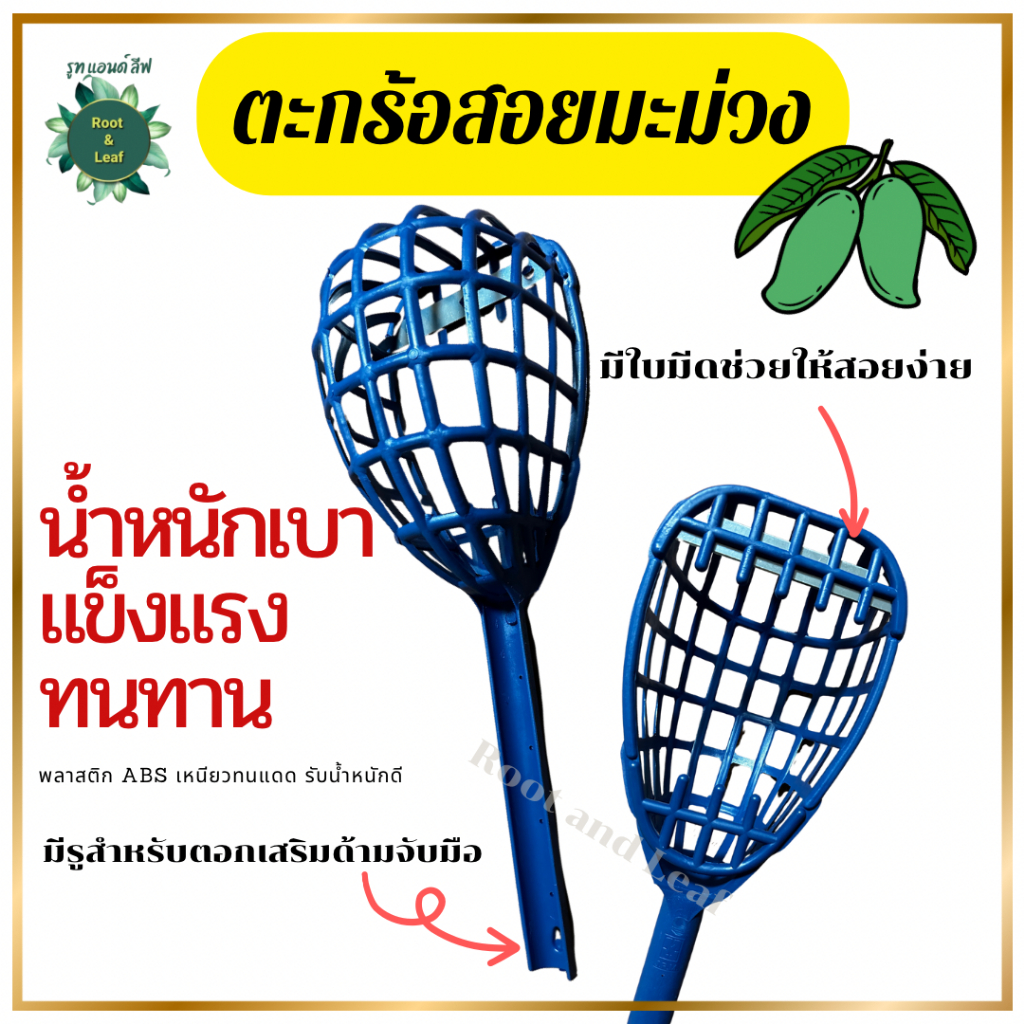 ตะกร้อสอยผลไม้ สอยมะม่วง มีใบมีดช่วยในการตัดขั่วผลไม้ ทำให้สอยง่าย น้ำหนักเบา ทำจากพลาสติกอย่างดี แข็งแรง ทนทาน ต่อด้าม