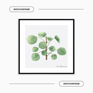 รูปภาพติดผนัง ภาพวาดตกแต่งบ้าน ภาพใบไม้ Pilea peperomioides พร้อมกรอบและติดที่แขวนเรียบร้อย