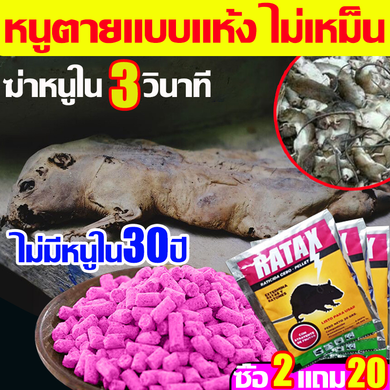 หลังกินหนูตายทันทีRATAXยาเบื่อหนู หนูภายใน100ม.ได้กลิ่นหอมหมดตายถ้าคุณกินยาเบื่อหนูตายแห้งยาเบื่อหนูตายแห้งไม่มีกลิ่น
