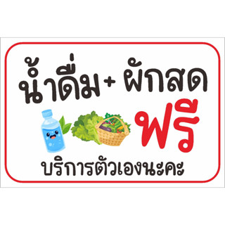 ไวนิล น้ำดื่ม + ผักสดฟรี บริการตัวเอง แบบน่ารัก