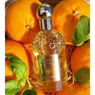 Guerlain Aqua Allegoria Forte Mandarine Basilic EDP75ml🔆ทักแชทเช็คสต๊อกก่อนนะ🫧