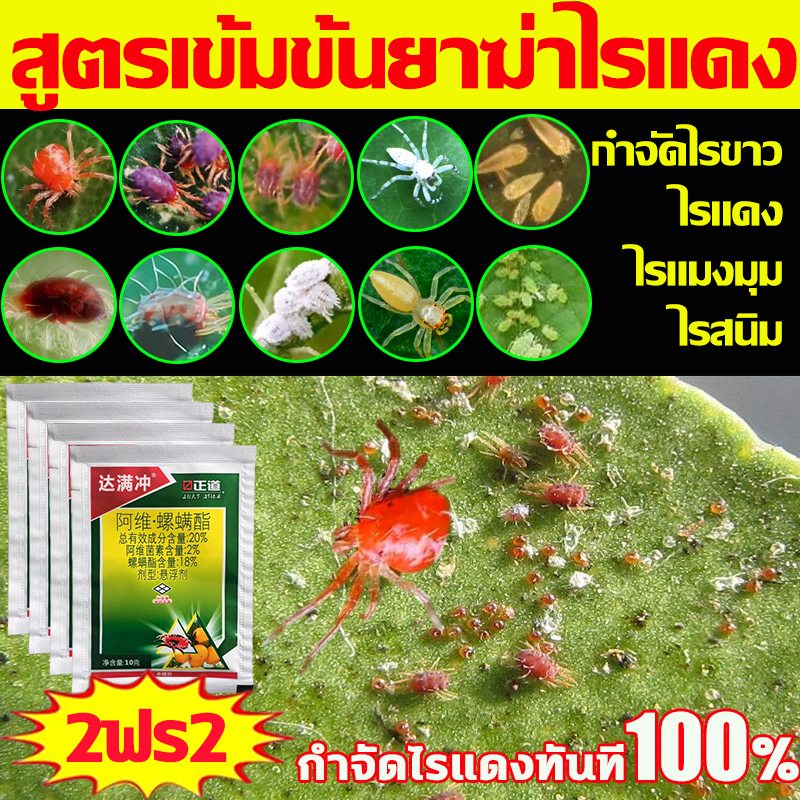 กำจัดไรแดงทันที100% ยากําจัดไรแดง เห็นผล100% ปราบศัตรูพืชใน ส้ม หอม กระเทียม ทุเรียน ดอกไม้ และไม้ผล ยาฆ่าไรแดง
