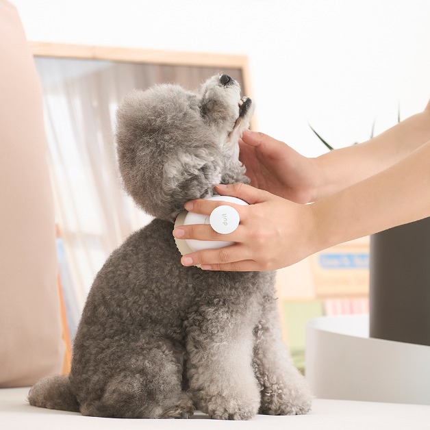Duit Soft Brush แปรง แปรงขนสุนัขและแมว