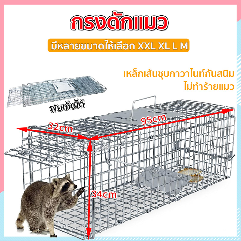 ✨กรงดักแมวจร (ไซส์ M-2XL)กรงแมวขนาดใหญ่ราคาถูก กับดักแมวพับได้ใช้ง่ายไม่ต้องประกอบเหล็กเส้นชุบกาวาไนท์กันสนิม cat cage