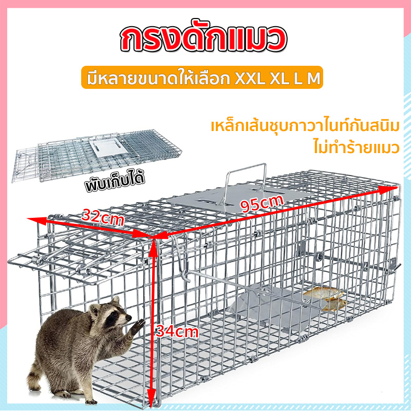 ✨กรงดักแมวจร (ไซส์ M-2XL)กรงแมวขนาดใหญ่ราคาถูก กับดักแมวพับได้ใช้ง่ายไม่ต้องประกอบเหล็กเส้นชุบกาวาไน