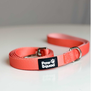 PAWSQUAD Peachy Leash | สายจูงหมา สายจูงแมว เชือกจูงสุนัข เชือกจูงแมว