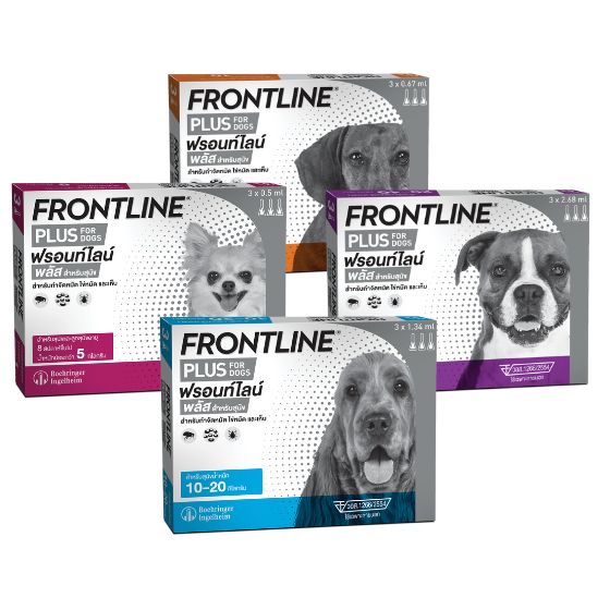 FRONTLINE PLUS สำหรับสุนัข