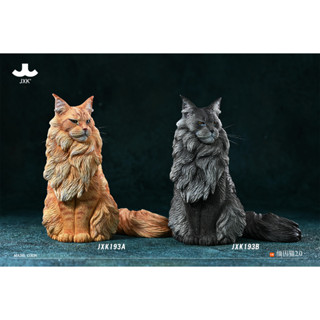 พรีออเดอร์ JXK 1/6 Maine coon2.0 JXK193ABCD