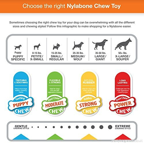 Nylabone Power Chew Double Bone Dog Toy ยางกัดขัดฟันสุนัขไร้สารพิษ กระดูก4แฉก รสเบคอน สุนัขแทะรุนแรงมาก