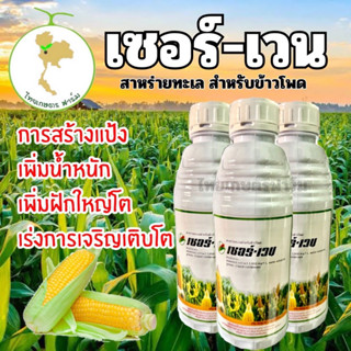 เซอร์เวน1ลิตร 💥สูตรเข้มข้น💥สำหรับข้าวโพด เพิ่มแป้งเพิ่มน้ำหนัก ใหม่‼️ สาหร่ายทะเล สำหรับข้าวโพด