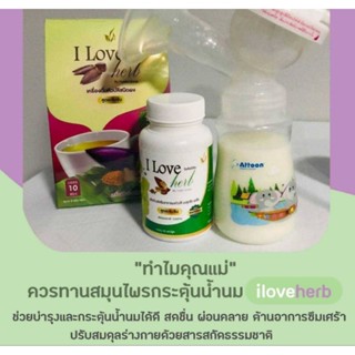 สูตรเข้มข้นเพิ่มน้ำนม ลูกซัดขิงปลี I love herb