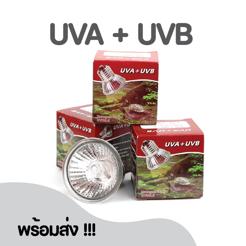 25/50/75W UVA + UVB 3.0สัตว์เลื้อยคลานา Basking UV หลอดไฟความร้อน amphibians