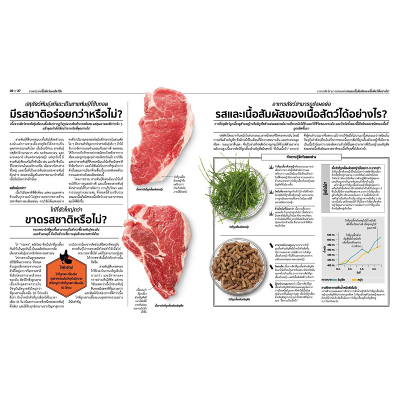 หนังสือ : ศาสตร์ แห่ง การทำอาหาร : ดร.สจวร์ต แฟร์ริมอนด์ : DK สนพ.วารา - รูปที่ 3