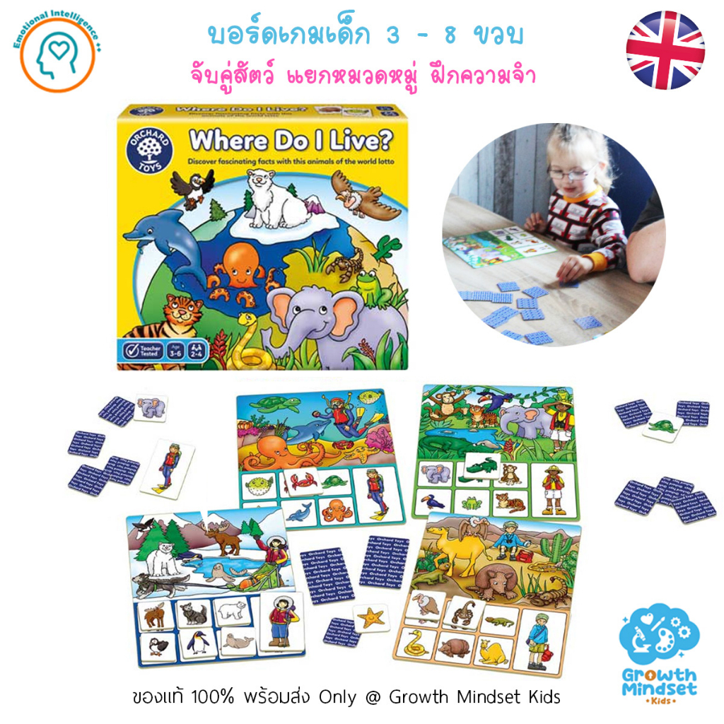 GM Kids (ของแท้อังกฤษ พร้อมส่ง 3 - 8 ขวบ) บอร์ดเกมเด็ก เกมกระดาน จับคู่สัตว์ Where Do I Live (Orchar