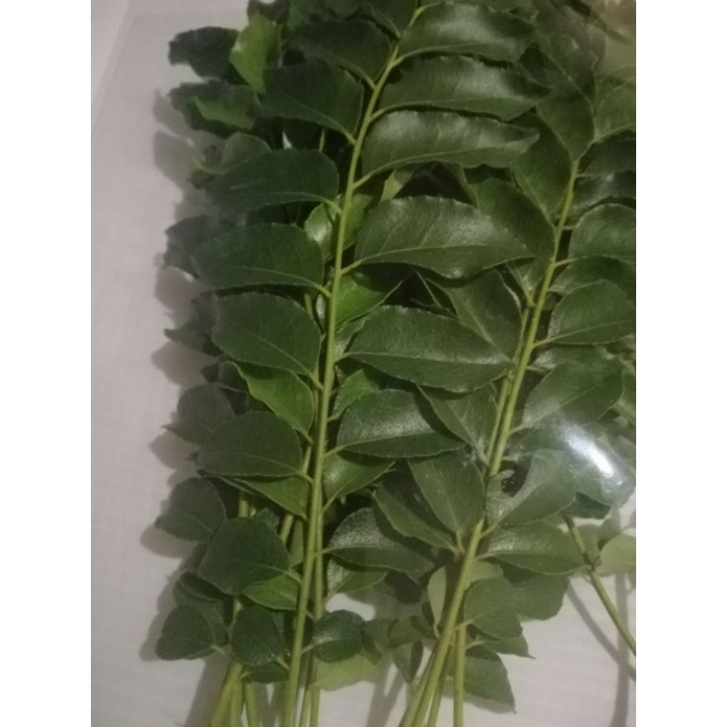 ใบสมุยหอม​(Fresh​ curry​ leaves)​ใบกะหรี่, ใบหอมแขก