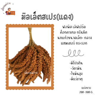 มิลเล็ตสเปร (แบ่งขาย 200-500G.) สีแดง สีเหลือง สำหรับนกแก้ว และ แฮมเตอร์