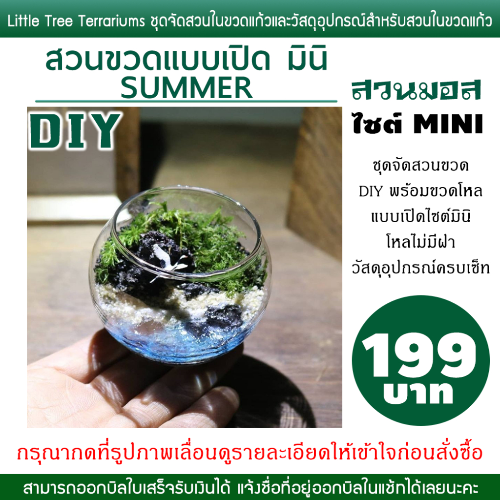 สวนขวดแก้ว DIY ชุดจัดพร้อมอุปกรณ์ 199 บาท ครบเซ็ท ไซต์มินิ สวนเปิด