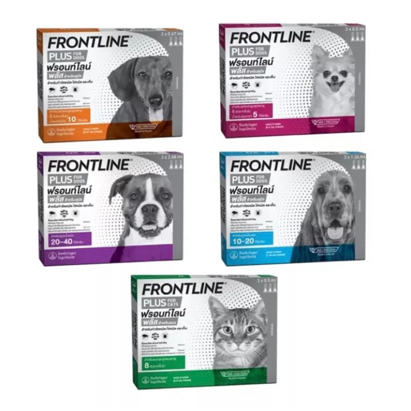 (ยกกล่อง)Frontline plus หยด สำหรับสุนัขและแมว