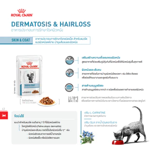Royal Canin Skin & Coat pouch 85 g อาหารเปียกสำหรับแมวผิวหนังแพ้ง่าย บำรุงเส้นขนและเสริมสร้างผิวหนัง 85 กรัม 12 ซอง