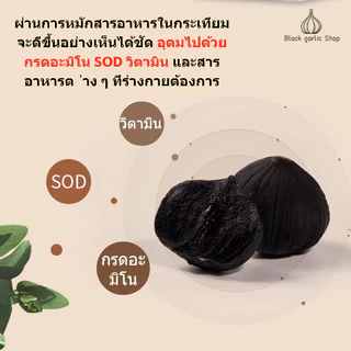 เป็นที่นิยมกระเทียมดำ ปอกหัวเดียว กระเทียมดำ ข้าวกระเทียมดำ กระเทียมดำ กระเทียมพร้อมรับประทาน 500g บาร์เรล