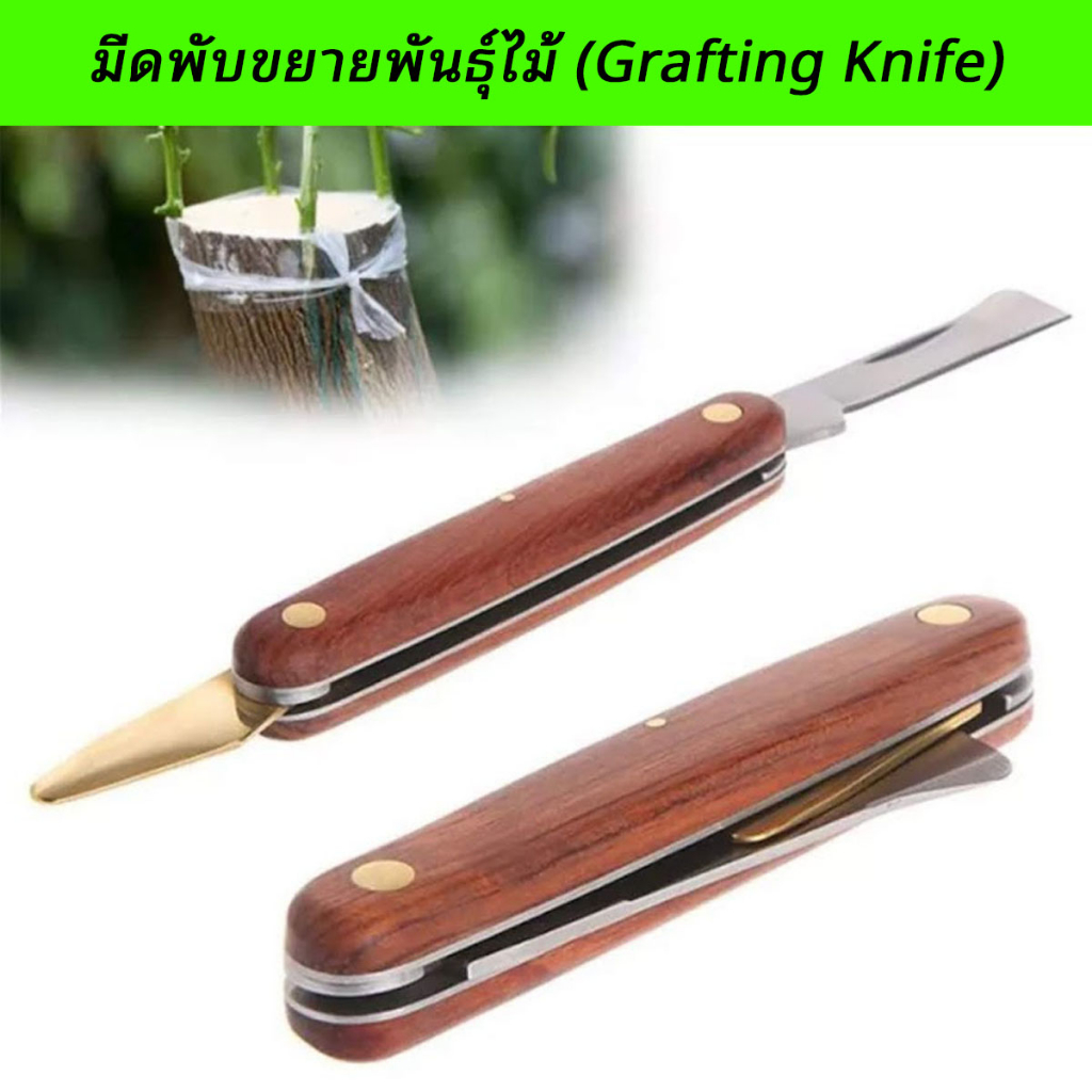 มีดพับขยายพันธุ์ไม้ (Grafting Knife) มีดเสียบยอด มีดติดตา มีดทาบกิ่ง มีดตอนกิ่ง