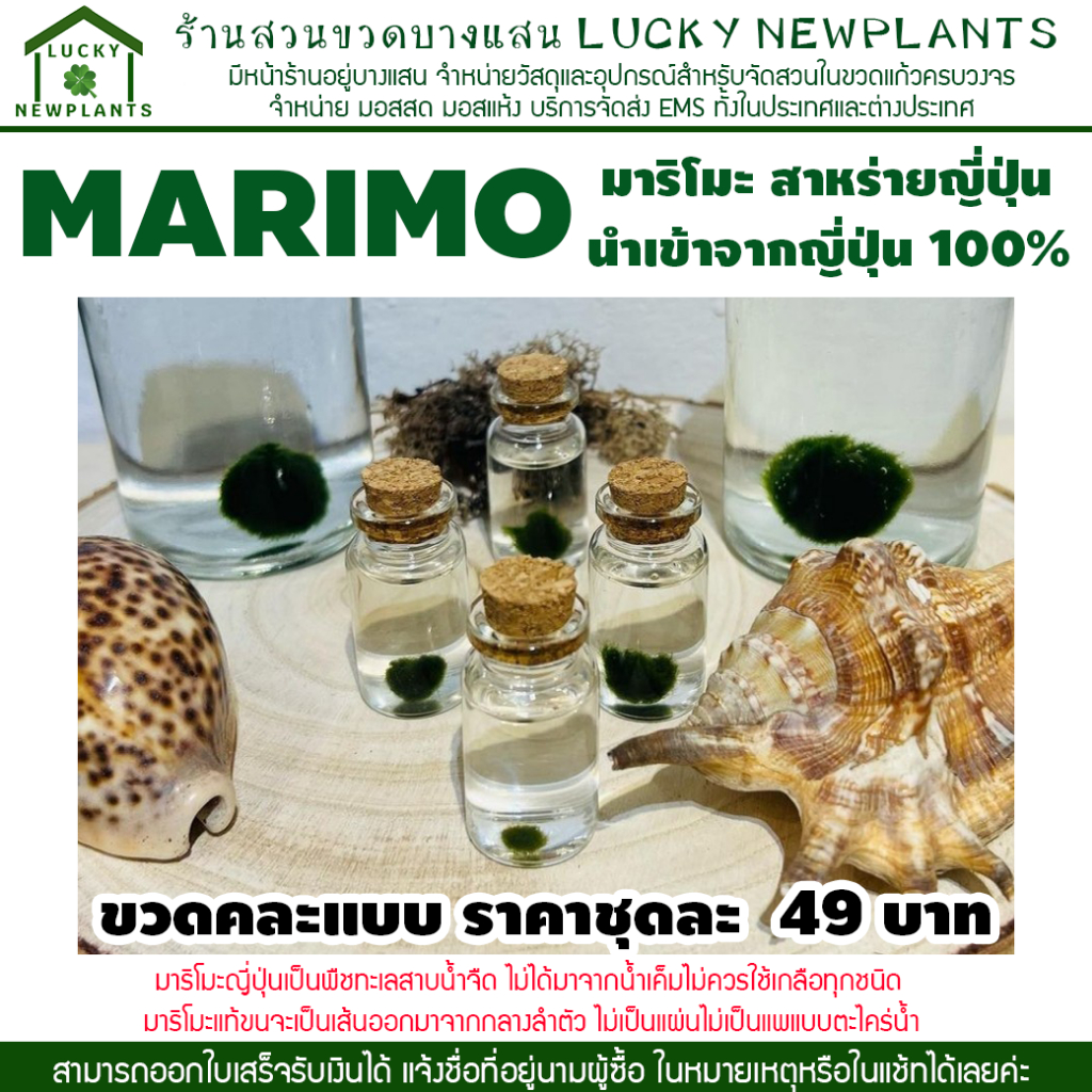 มาริโมะ Marimo เซ็ทพร้อมขวดคละแบบ 49 บาท ซื้อ 2 แถมฟรี 1 เซ็ท