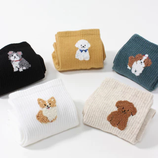 Chacha socks - ถุงเท้าข้อยาว Doggy Club ถุงเท้านำเข้าจากเกาหลี ถุงเท้าเกาหลี