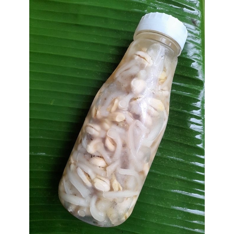 ถั่วงอกหัวโตดองหวาน สูตรใหม่