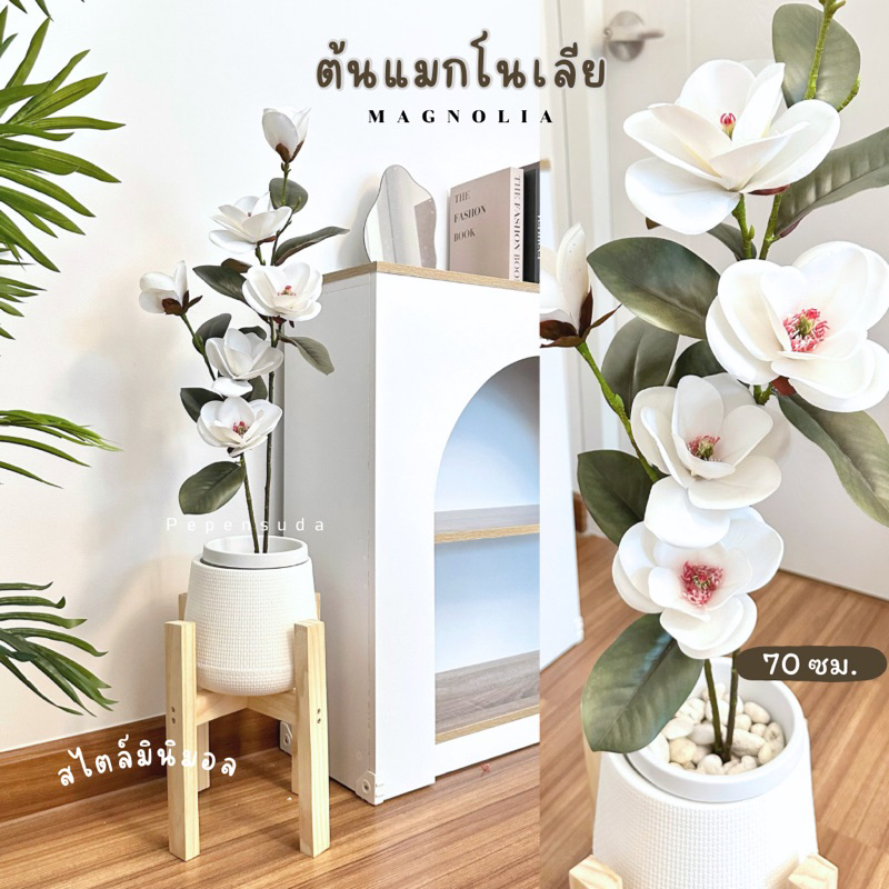 ต้นแมกโนเลีย(MAGNOLIA) เสมือนจริง สูง 70 ซม. พร้อมส่งจากไทย สวยมากๆ