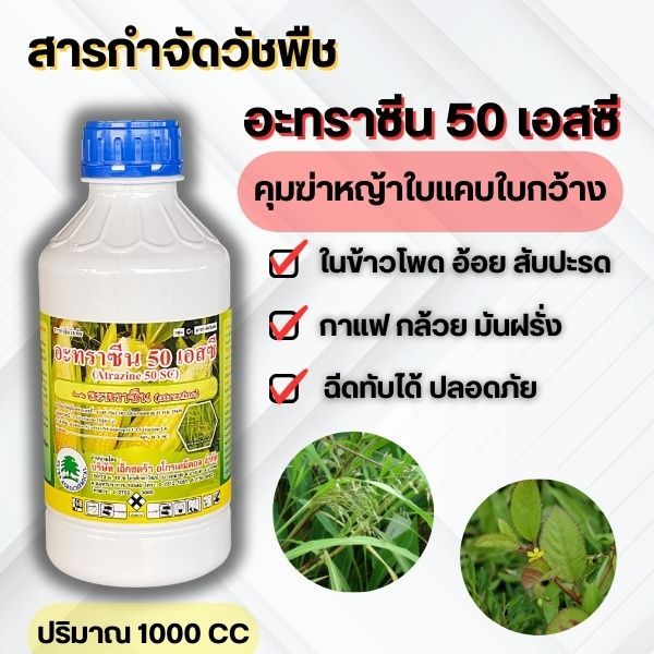 สารกำจัดวัชพืช อะทราซีน 50 เอสซี คุมฆ่าหญ้าใบแคบใบกว้าง ข้าวโพด อ้อย สัปปะรด