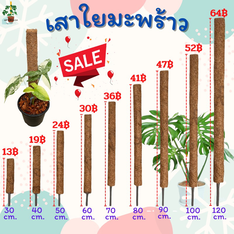 หลักไม้เลื้อย เสาไม้เลื้อย เสาใยมะพร้าว สวย คุณภาพดี แข็งแรง ทนทาน ราคาถูก ถูกที่สุด