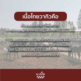S028 ชุดชาบูสะโพกและเนื้อน่อง เต็มๆ 8 ถาด ถาดละ 200 กรัม (แถมฟรีน้ำซุปและน้ำจิ้ม) ประหยัดคุ้มค่า