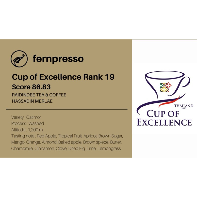 Cup of Excellence Rank 19 RAIDINDEE TEA & COFFEE HASSADIN MERLAE 16g