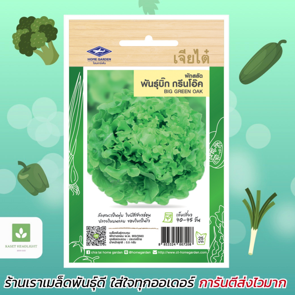 บิ๊กกรีนโอ๊ค กรีนโอ๊ค เจียไต๋ ผักสลัด เมล็ดพันธุ์ผักสลัด Big green Oak