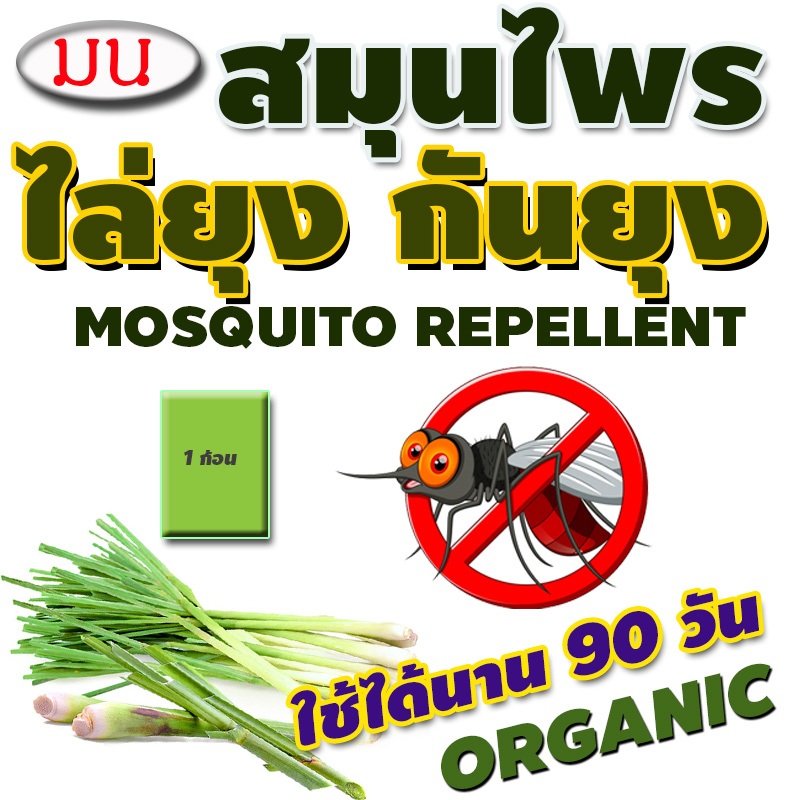 ไล่ยุง สมุนไพรไล่ยุง organic ใช้นาน 90 วัน สกัดจากตระไคร้สด หอมธรรมชาติ