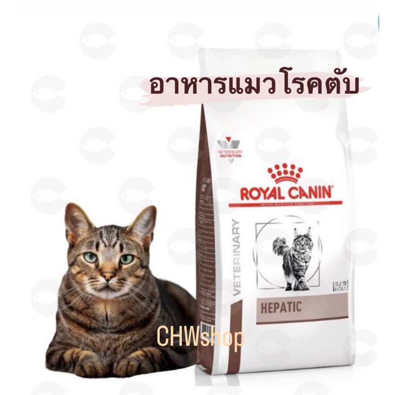 Royal Canin CAT HEPATIC 2 kg โรยัล คานิน อาหารแมว อาหารแมวโรคตับ ขนาด 2 กก