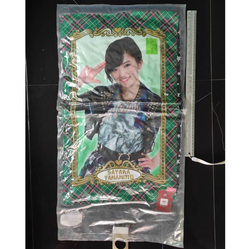 AKB48 Crane game pillow Yamamoto Sayaka 山本 彩