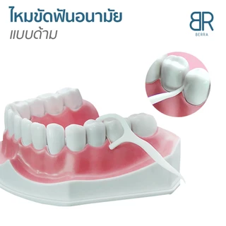 BERRA ไหมขัดฟันชนิดด้าม/ไม้จิ้มฟันพลาสติก อนามัย ทำความสะอาดซอกฟัน ไหมขัดฟันกล่อง 50 ชิ้น/กล่อง